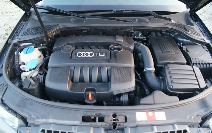 Audi A3 cena 23800 przebieg: 180000, rok produkcji 2006 z Rypin małe 232